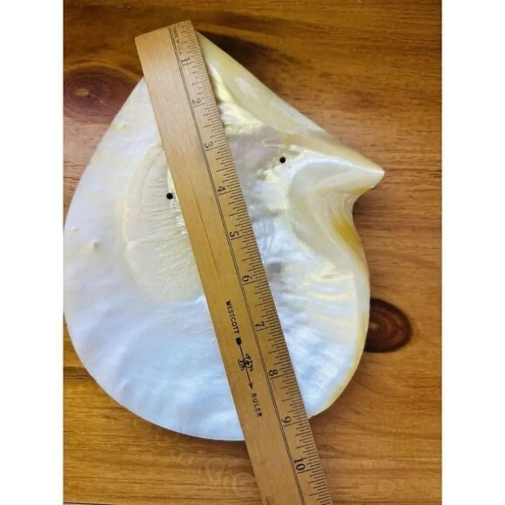 Vintage Large Genuine‎ Mother Of Pearl Sea Shell Caviar Dish Trinket Tray Plate